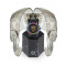 Philipp Plein PWAAA2123 The Skull 44mm Mens Watch 44mm 5ATM