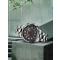 Wenger 01.0543.111 Terragraph