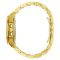 Paul Rich PR-46710 Pánske hodiny Crystal Bay Gold Coast Gold Green 40mm 5ATM
