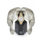 Philipp Plein PWPSA0324 Chrono Royal Unisex 42mm 5ATM