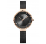 Bering 14631-166 slnečný pohon ladies 31mm 5ATM