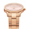 Daniel Wellington DW00100369 Dámske hodiny Iconic Link 32mm 3ATM