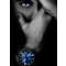 U-Boat 8700/B Darkmoon Blue IPB Soleil 44mm 5ATM