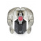 Philipp Plein PWPNA0224 Rock Couture Day-Date 42mm 5ATM
