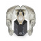 Philipp Plein PWTAA0523 Spectre Ladies Watch 38mm 5ATM