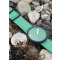 Picto R44029-R025 Starboard Green 40mm 5ATM