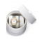 Bering 12131-010-190-GWP1 ladies classic 30mm 3ATM