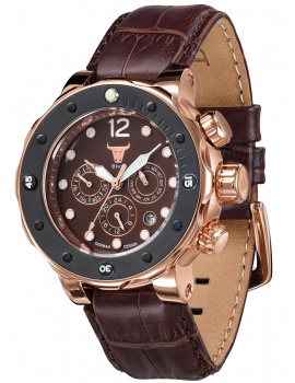 Carl von Zeyten BI0004RBR Bison 4