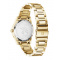 Swiss Alpine Military 7767.1117 Ladies Watch Argos gold black 34mm 10ATM