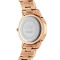 Daniel Wellington DW00100369 Dámske hodiny Iconic Link 32mm 3ATM