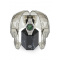 Philipp Plein PWPMA0224 Mens Watch Extreme Gent 43mm 5ATM